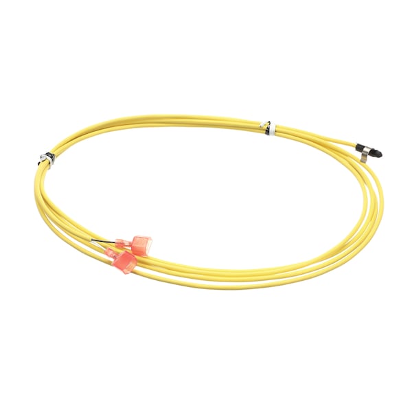 Temperature Sensor, 10Ft Lead, Male, W/